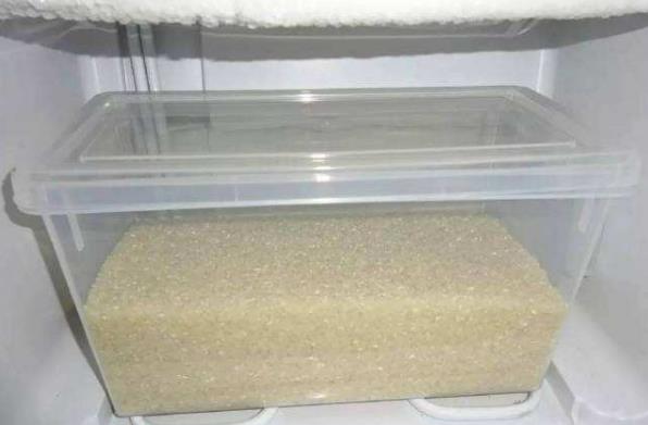 大米生米虫了怎么办 教你几招大米存放驱虫的小窍门