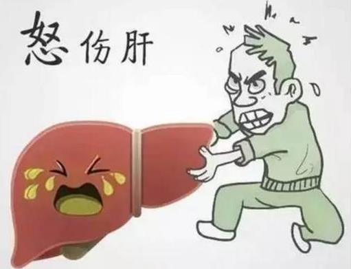 “气得肝疼！”情绪对身体的影响不可小看！怎样给肝“消消气”？ 